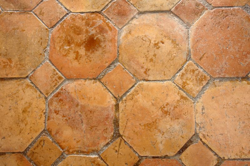 Saltillo Tile Repair in Autumn
